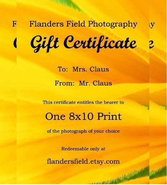 Email Gift Certificate Template 7 Email Gift Certificate Templates Free Sample Example
