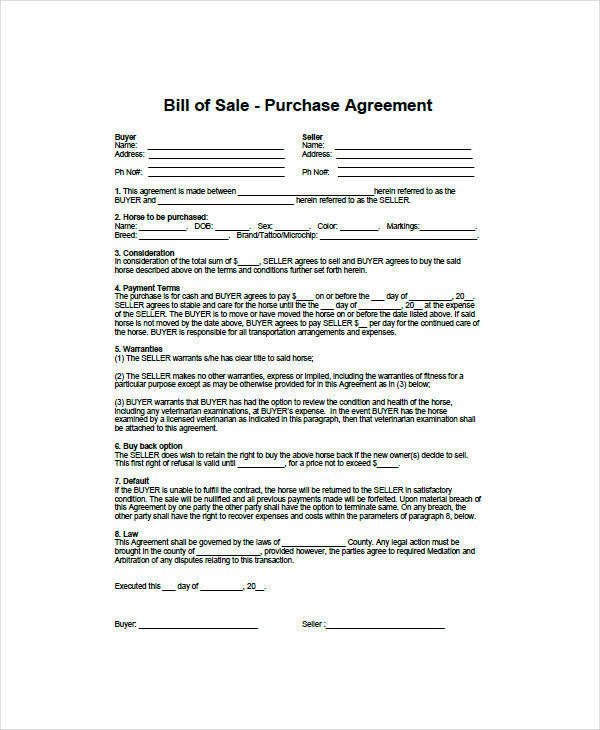 Equine Bill Of Sale 9 Horse Bill Of Sale Examples In Word Pdf