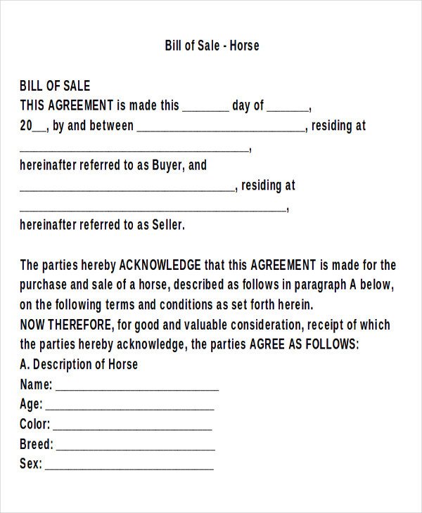 Equine Bill Of Sales 9 Horse Bill Of Sale Examples In Word Pdf