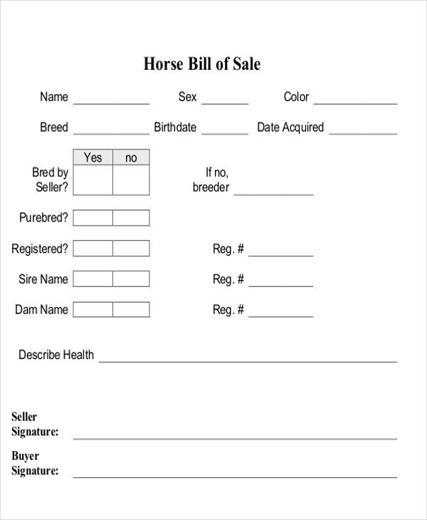 Equine Bill Of Sales 9 Horse Bill Of Sale Examples In Word Pdf