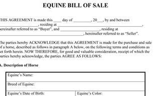 Equine Bill Of Sales Bill Of Sale Template