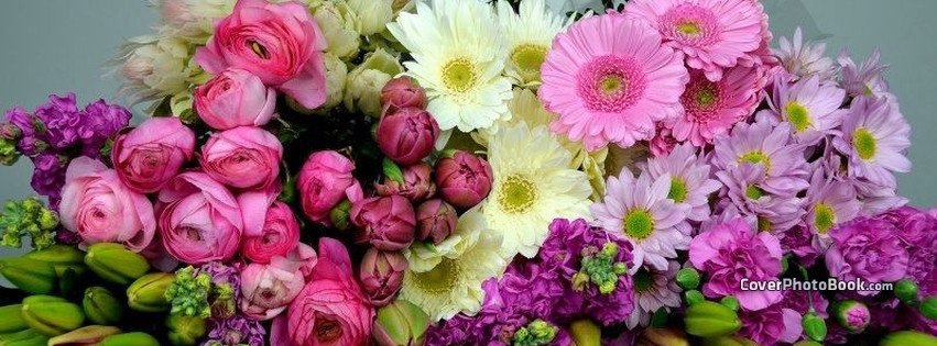 Facebook Cover Photos Flowers Collection Of Flowers Pink Purple White Cover