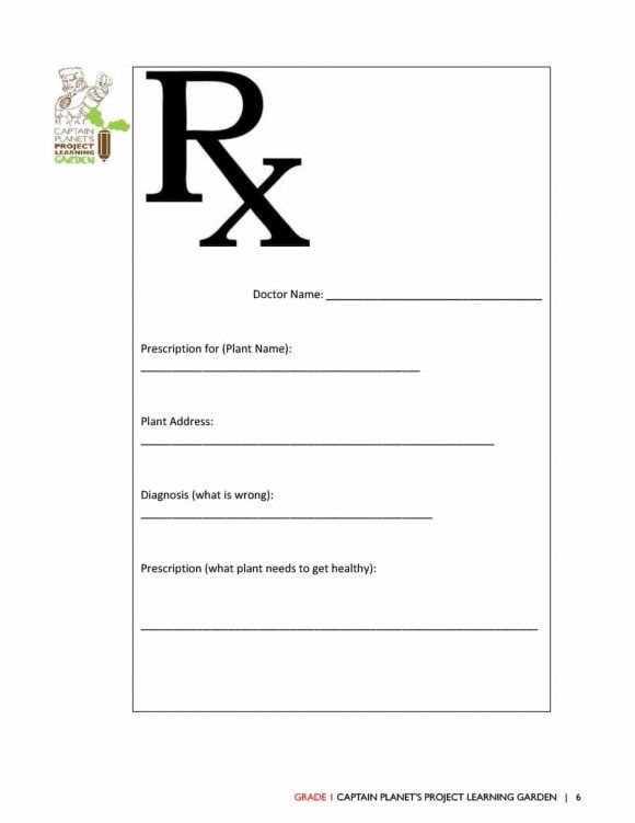 Fake Prescription Label Template 32 Real & Fake Prescription Templates Printable Templates