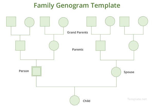 Family Genogram Template Word Genogram Template 16 Free Word Pdf Documents Download