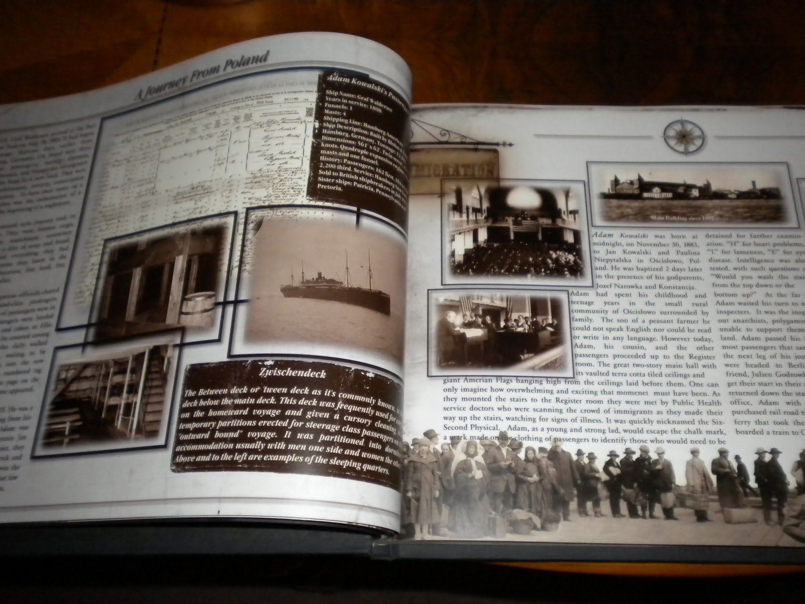 Family History Book Template Determining A Bud for Your Family History Book