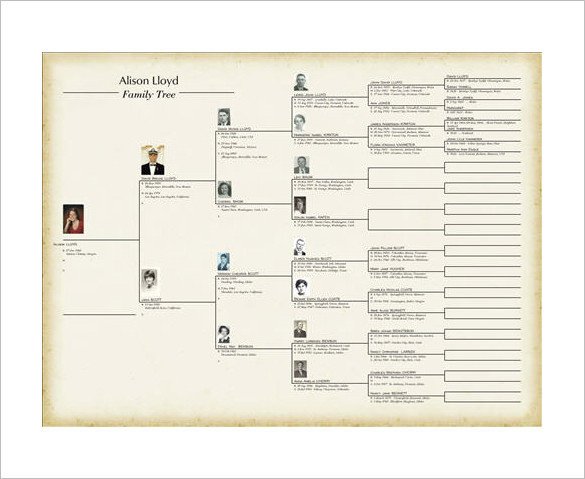 Family History Book Template Family Tree Book Template – 9 Free Word Excel Pdf Family History Book Template Family Tree Book Template – 9 Free Word Excel Pdf