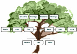 Family Medical Tree Creating Your Family’s Health History Walkezstore