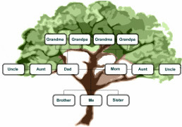 Family Medical Tree Creating Your Family’s Health History Walkezstore Family Medical Tree Creating Your Family’s Health History Walkezstore
