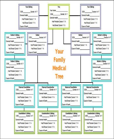 Family Medical Tree Family Tree Example 8 Samples In Word Pdf