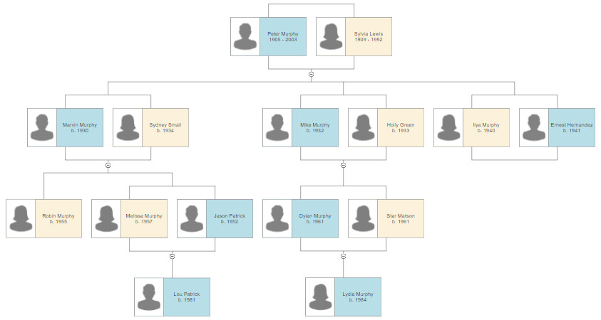 Family Tree Template Google Docs Family Tree Templates