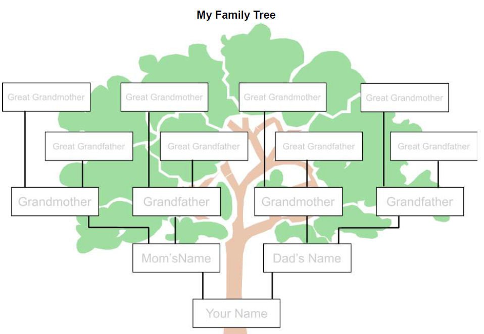 Family Tree with Pictures Template Family Tree Template