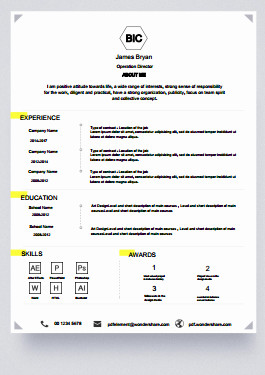 Fill In Resume Template Pdf Professional Resume Free Download Edit Fill and Print