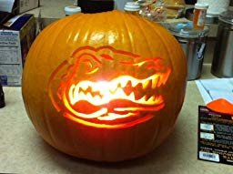 Florida Gator Pumpkin Stencil Carving Amazon Customer Reviews Ncaa Florida Gators Pumpkin
