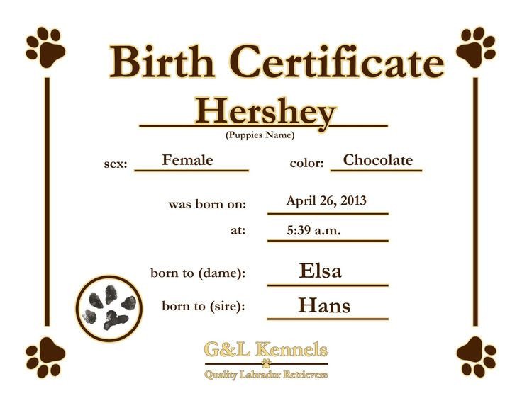 Free Birth Certificate Template Dog Birth Certificate Template Puppy Birth Certificates