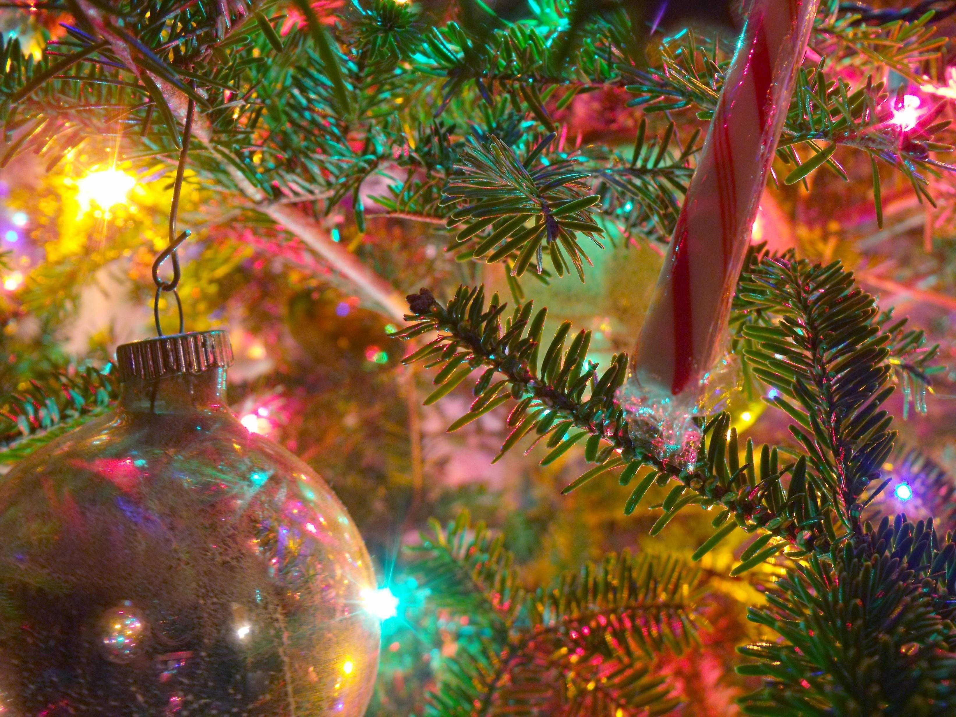 Free Christmas Desktop Wallpaper Christmas Wallpapers for Puter Desktop Wallpaper Cave