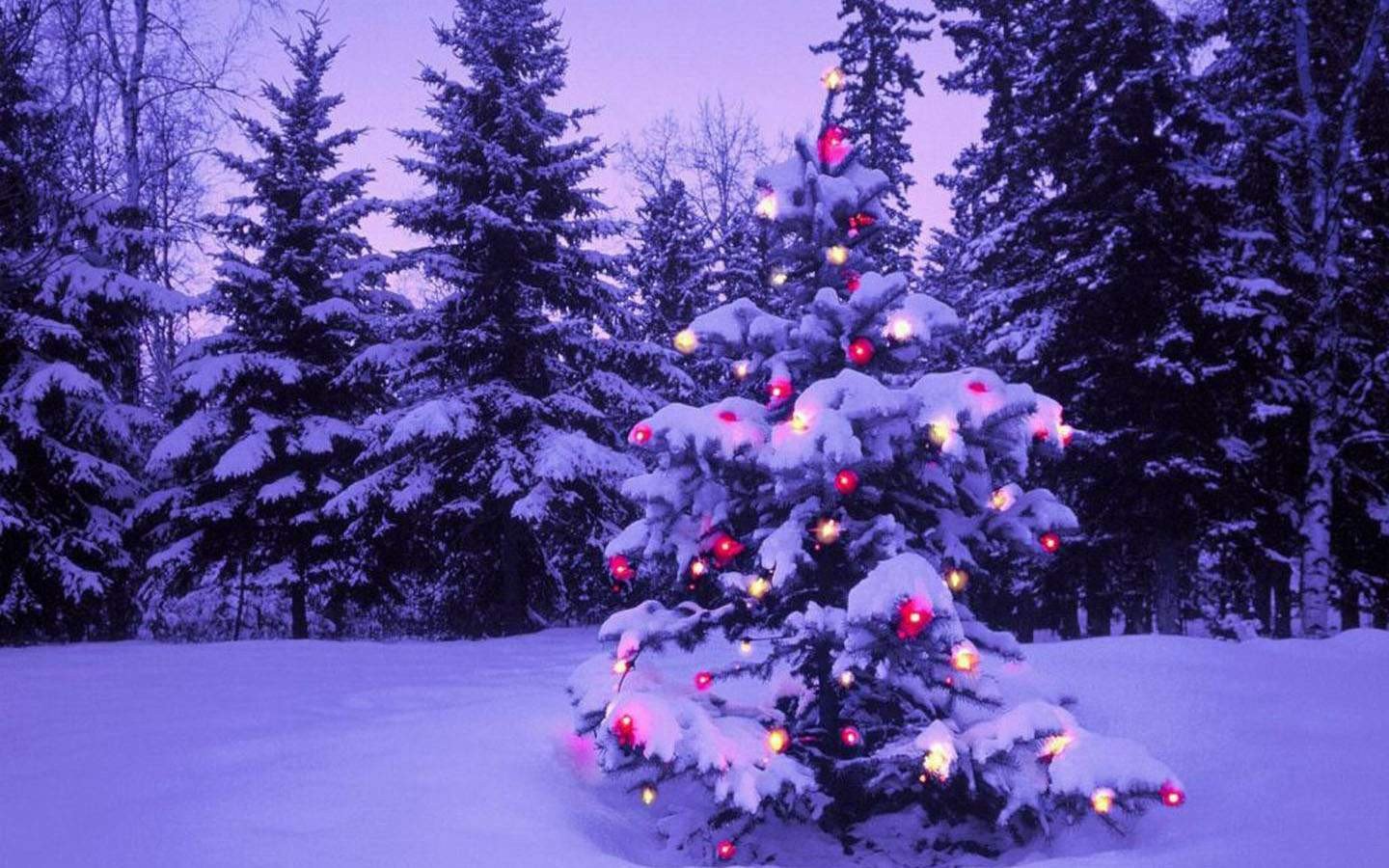 Free Christmas Desktop Wallpaper Free Hd Christmas Wallpapers Desktop Backgrounds 2016