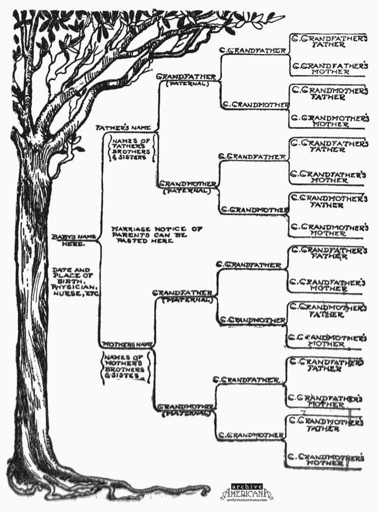 Free Printable Family Tree Template Start A Genealogical Record for Your Family 1905