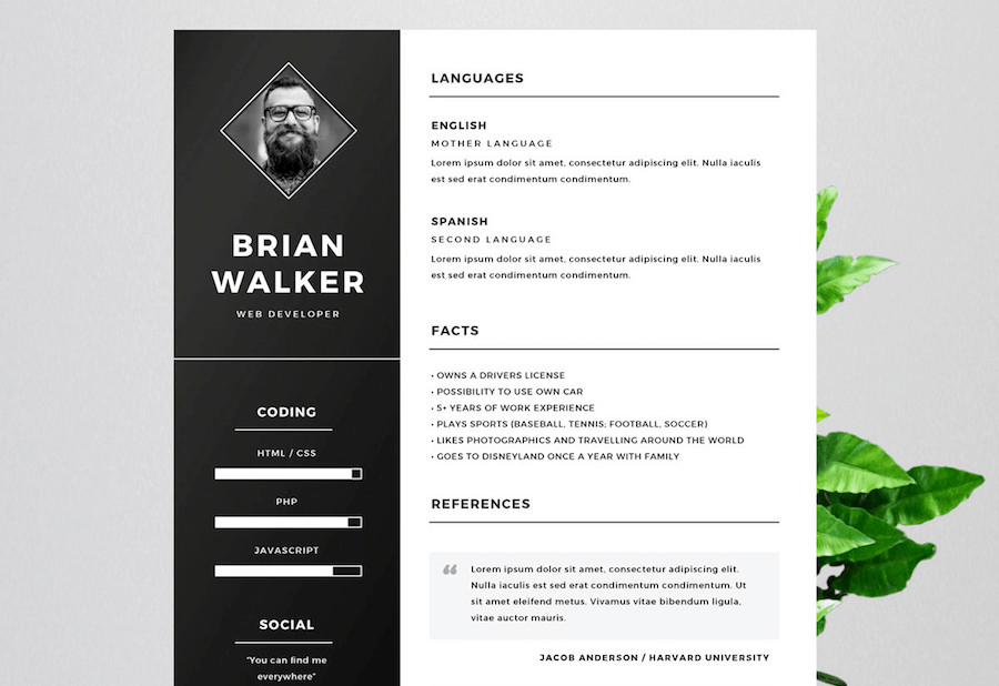 Free Resume Templates Microsoft 65 Eye Catching Cv Templates for Ms Word