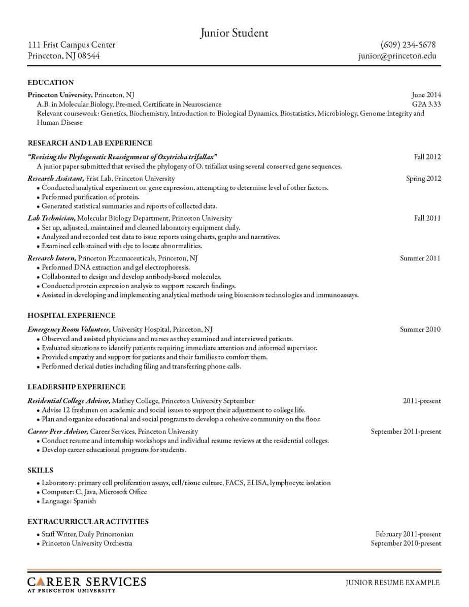 Free Template for Resume 16 Free Resume Templates Excel Pdf formats