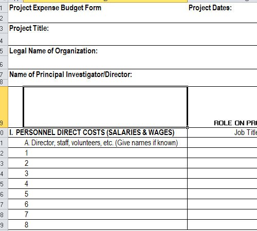 Fundraising Plan Template Excel Fundraising Bud Template