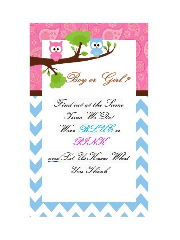 Gender Reveal Invitation Template 17 Free Gender Reveal Invitation Templates Template Lab
