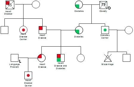 Genogram Template for Mac top Unique Graph Example with Key Free Printable Template