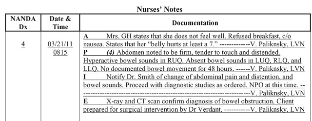 Good Nursing Notes Examples 28 Of Nursing Documentation Examples Template