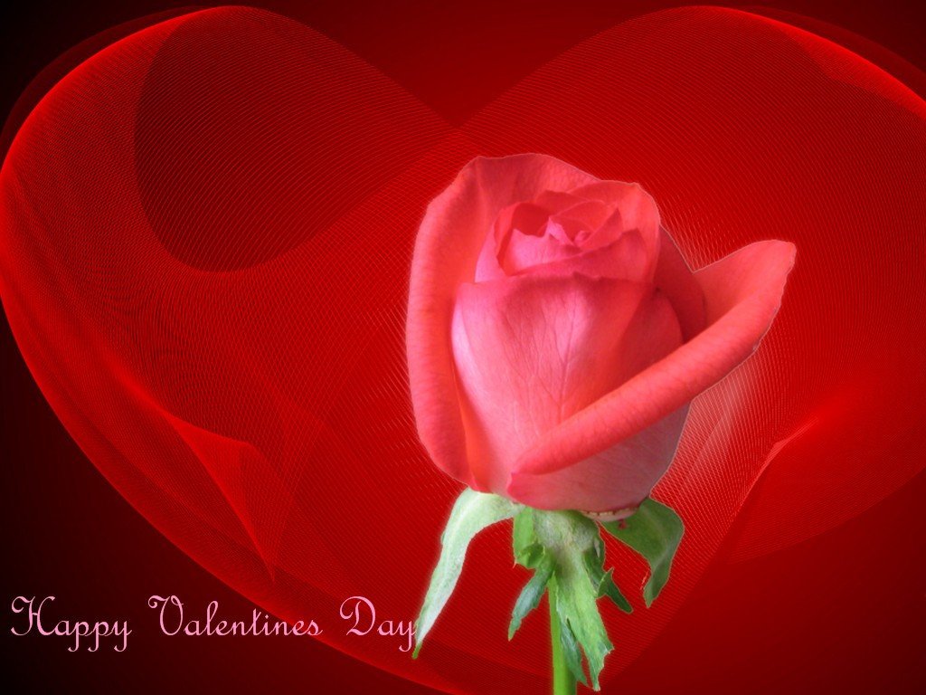 Happy Valentines Day Wallpaper Happy Valentines Day Wallpapers