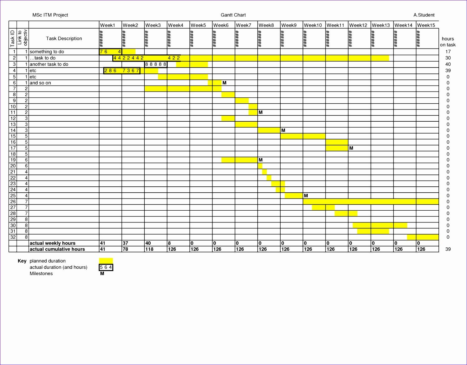 Hourly Chart Template 10 24 Hour Work Schedule Template Excel Exceltemplates