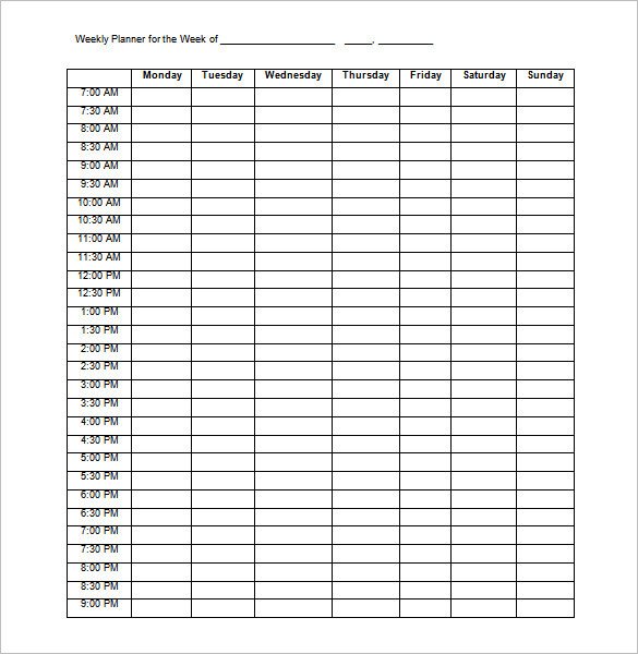 Hourly Chart Template 14 Family Schedule Templates Word Pdf