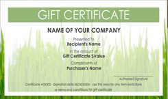 House Cleaning Gift Certificate Template House Cleaning Free House Cleaning Gift Certificate Template