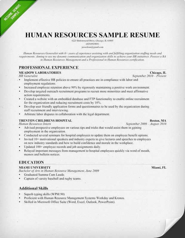 Human Resources Resume Template Human Resources Hr Resume Sample &amp; Writing Tips
