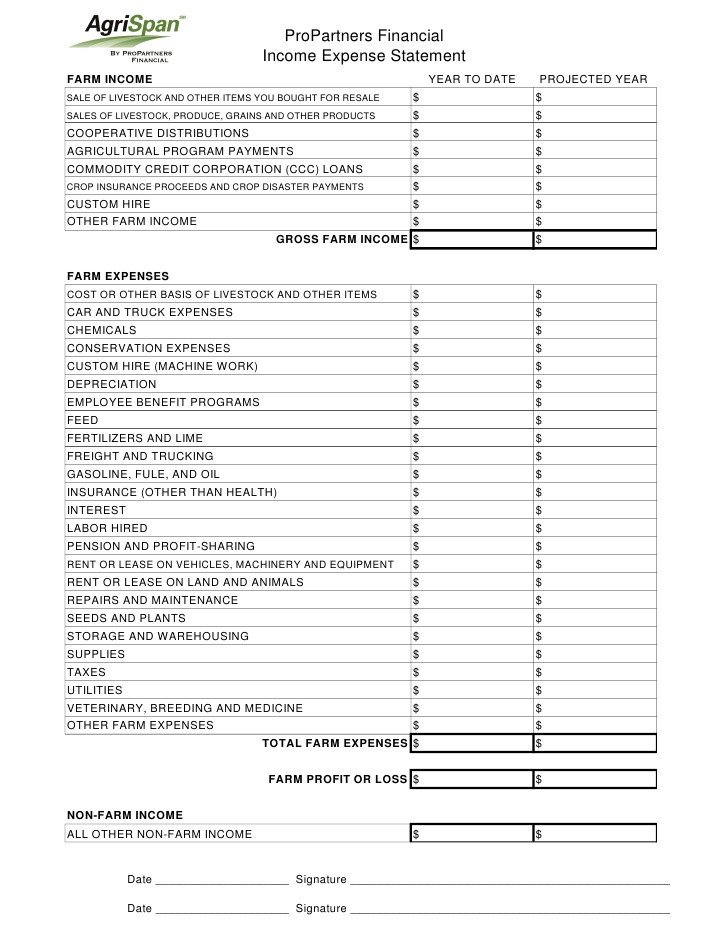 Income and Expense form Propartners Financial In E Expense Statement