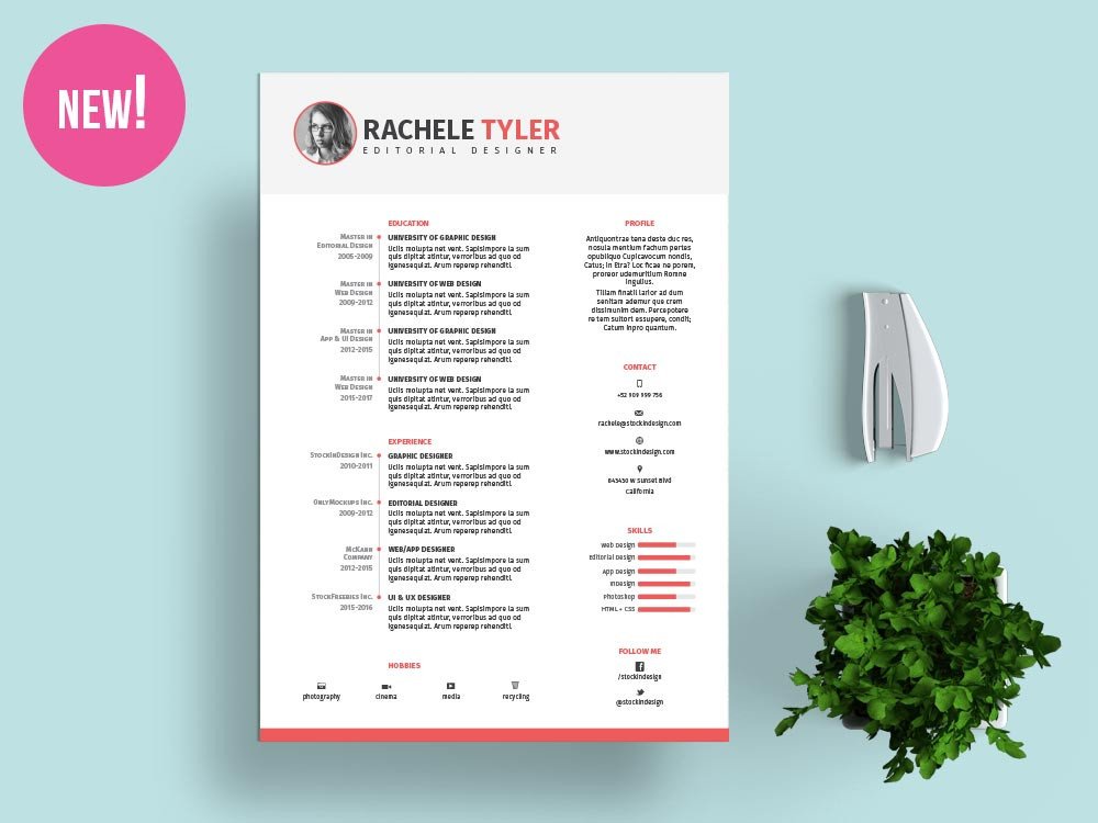 Indesign Resume Template Free Download Free Indesign Resume Template