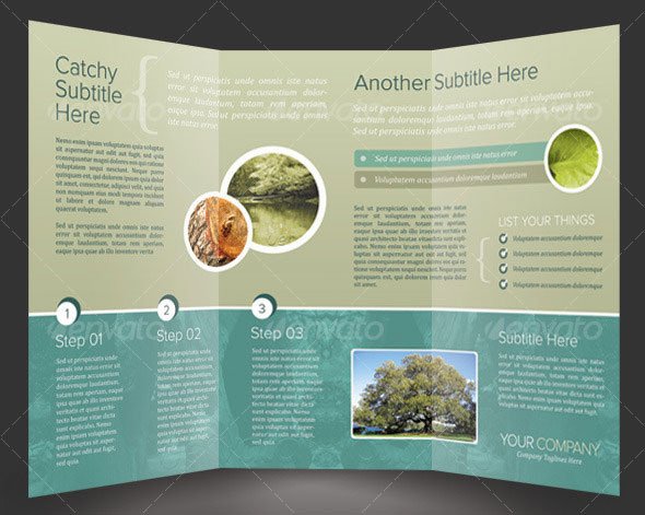 Indesign Trifold Brochure Templates 14 Creative 3 Fold Shop Indesign Brochure Templates
