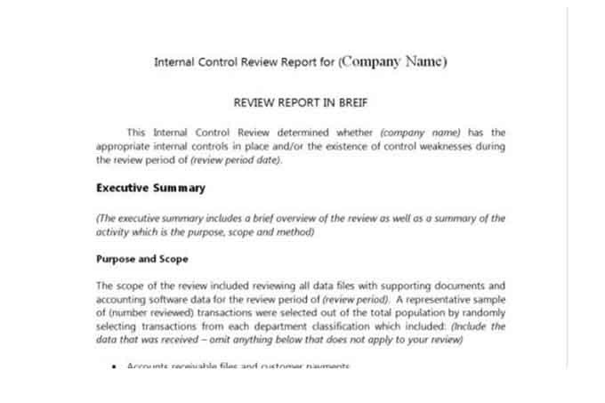 Internal Audit Report Samples Auditor forms Vitalics