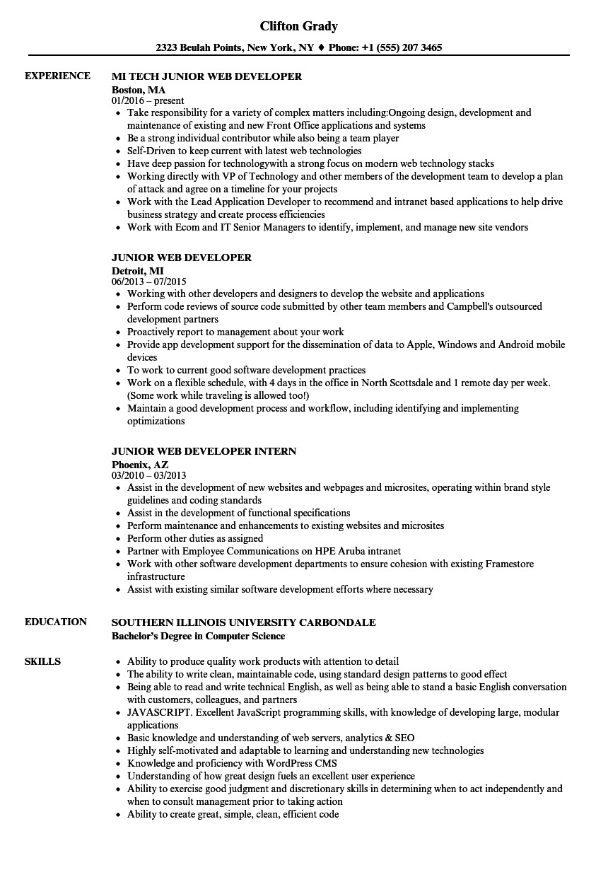 Junior Web Developer Resume Junior Web Developer Resume Samples