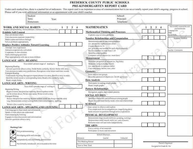 Kindergarten Report Card Template Best 25 Kindergarten Report Cards Ideas On Pinterest