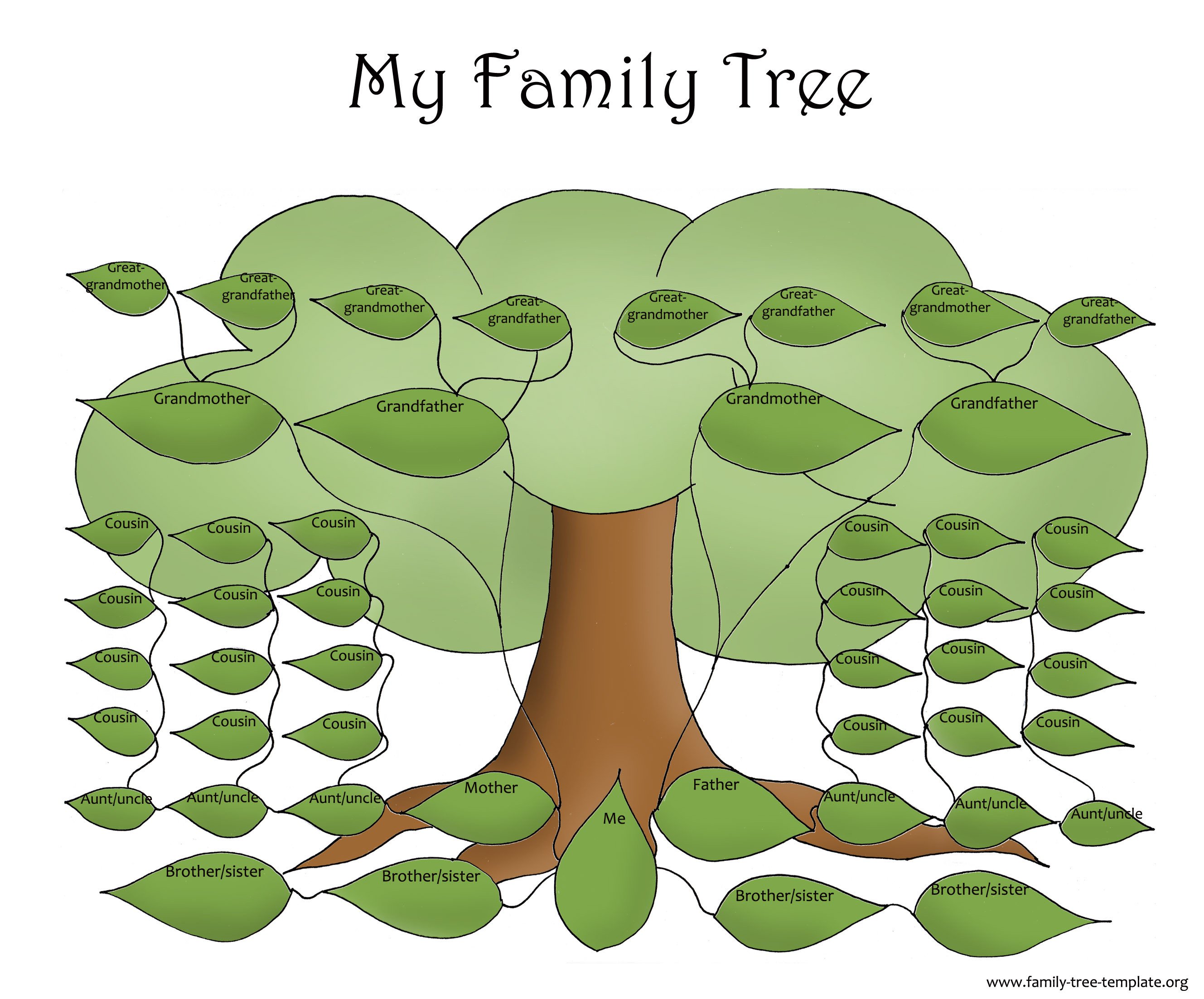 Large Family Tree Templates Family Tree Template Resources