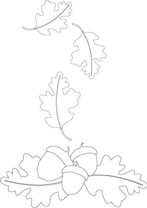 Leaf Template with Lines 17 Best Ideas About Oak Leaves On Pinterest