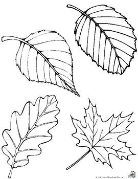 Leaf Template with Lines 469 Best Images About Arboretum Ideas for Munity On