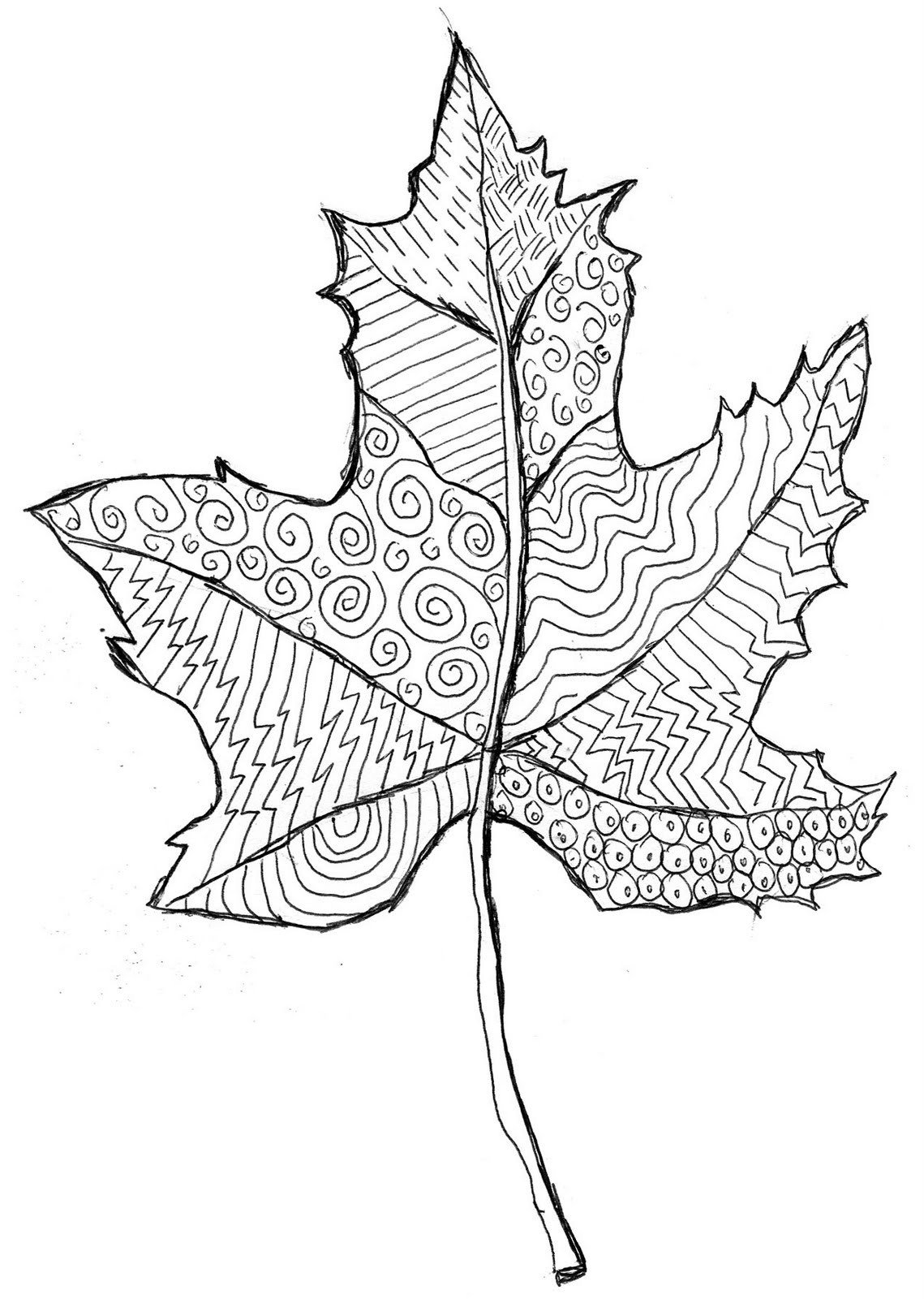 Leaf Template with Lines Grovecrest Art Fall Leaf Line Drawing