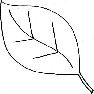 Leaf Template with Lines Simple Leaf Outline Clipart Best