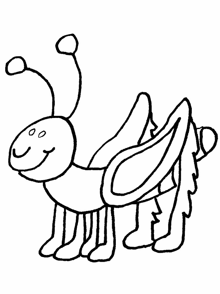 Lightning Bug Template Firefly Lightning Bug Coloring Page Sketch Coloring Page