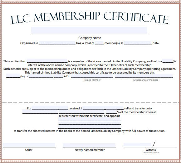 Llc Member Certificate Template Membership Certificate Template 15 Free Sample Example