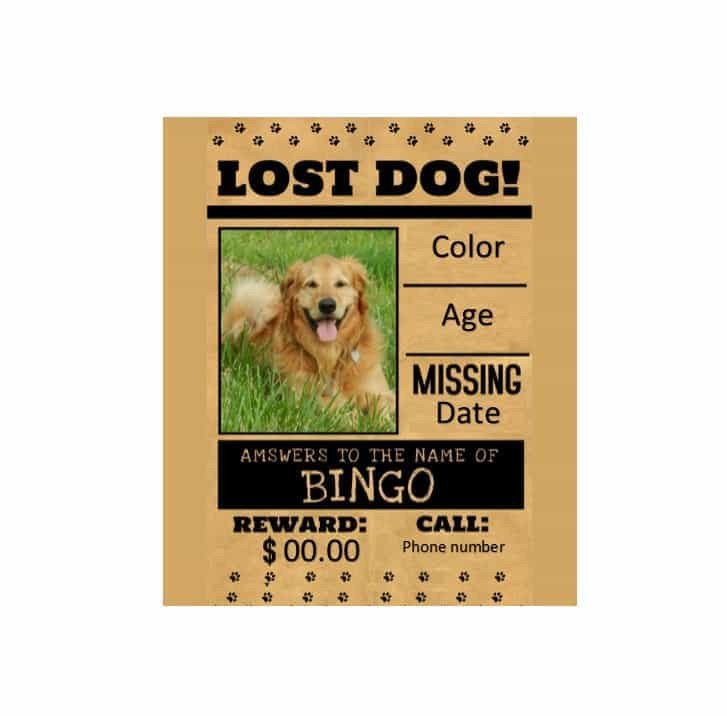 Lost Dog Flyer Template 40 Lost Pet Flyers [missing Cat Dog Poster] Template