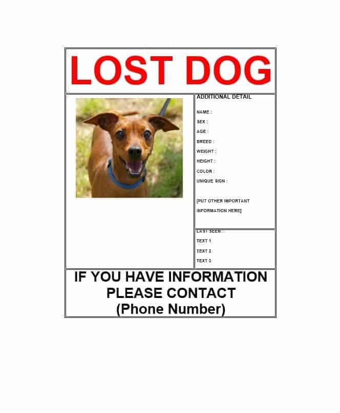 Lost Dog Flyer Template 40 Lost Pet Flyers [missing Cat Dog Poster] Template
