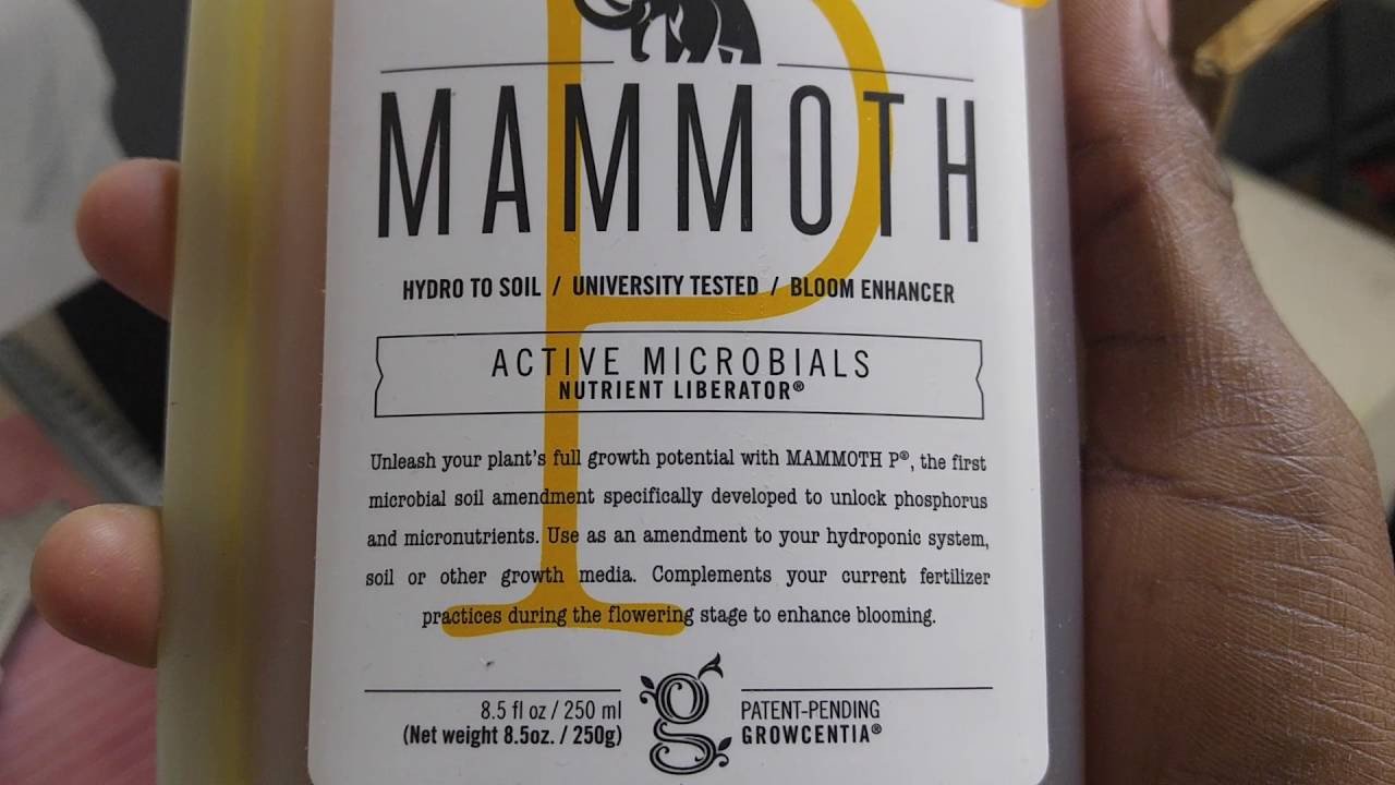 Mammoth P Free Sample Mailcall Mammoth P Samples