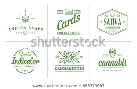 Medical Marijuana Label Template Set Medical Cannabis Marijuana Sign Label Stock Vector