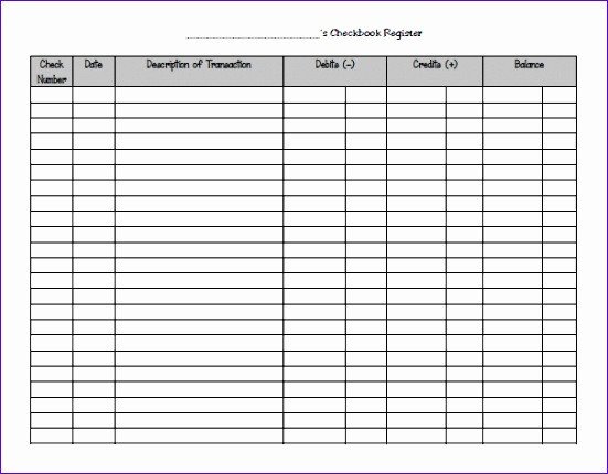 Microsoft Excel Checkbook Template 11 Microsoft Excel Check Register Template